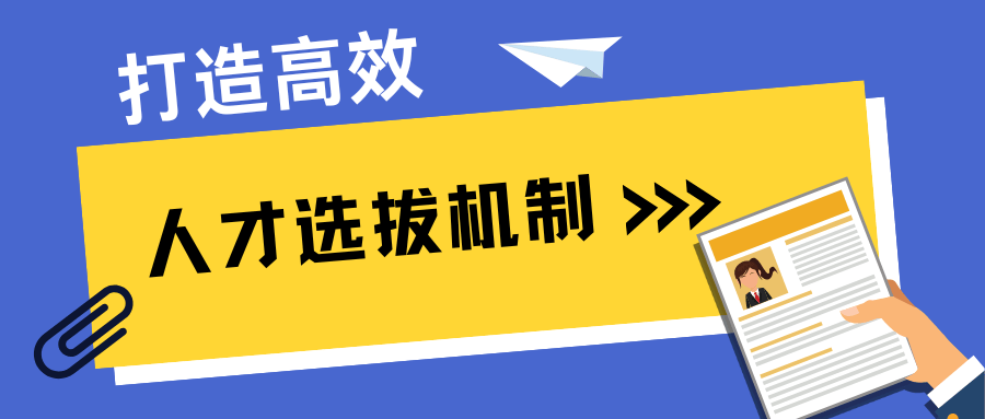 公司选人体系与部门职能深度剖析